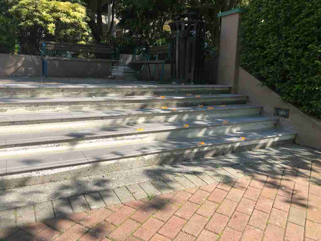 West Royal interior image